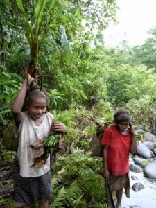 Women - especially young mothers - are being targetted for nutrition education and sup sup garden skills by the hospital partnerships